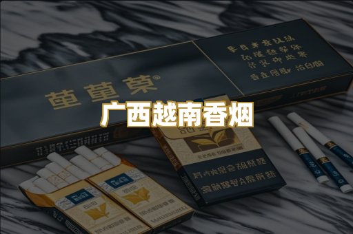 广西越南香烟
